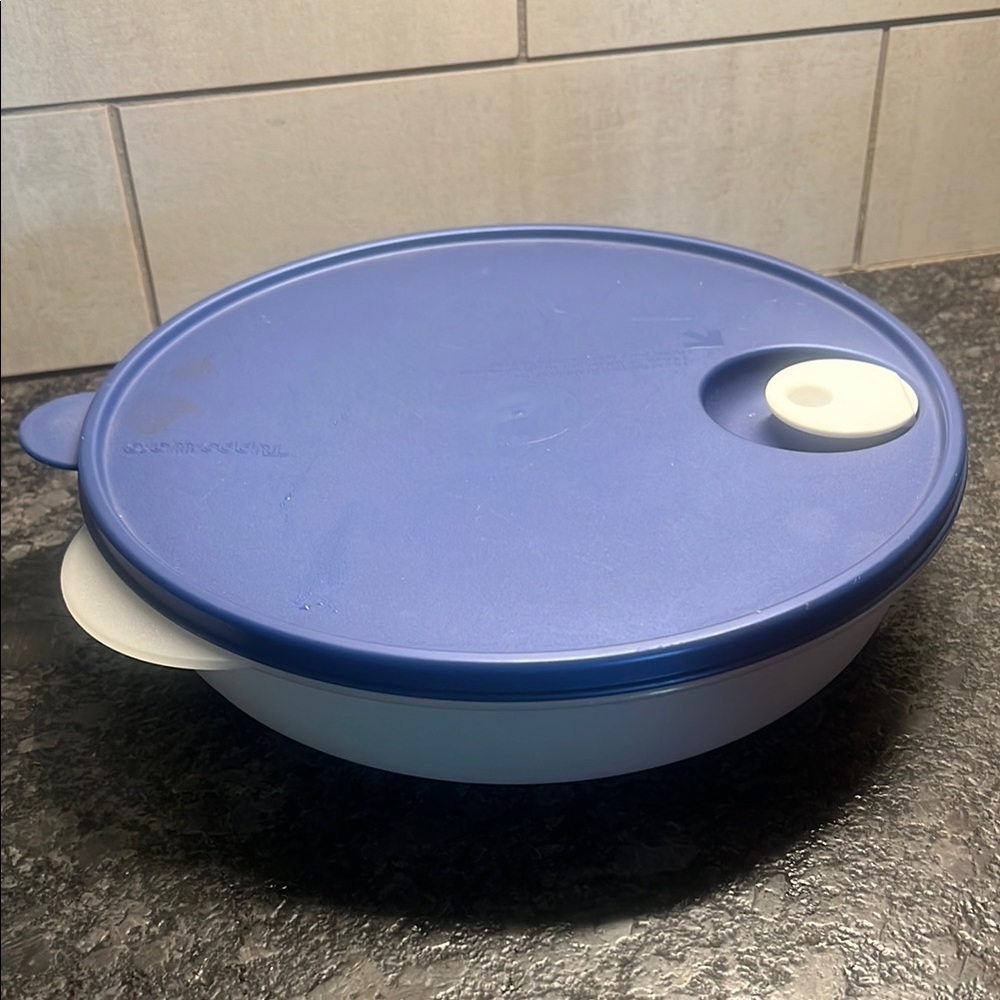 Tupperware Blue and White Crystal Wave divided Bowl with microwave vent